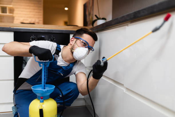 Best Residential Pest Control  in Okeechobee, FL