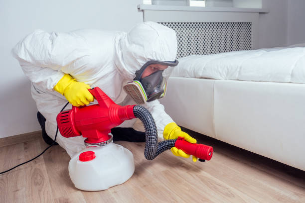 Wasp Removal Services in Okeechobee, FL
