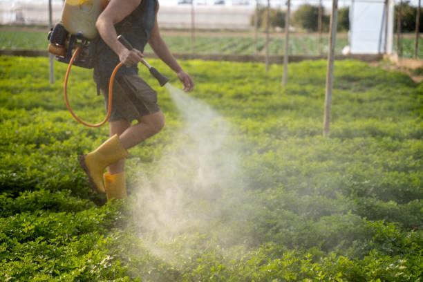 Best Wildlife Control Services  in Okeechobee, FL